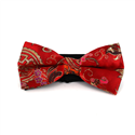 Red Paisley Shine Bow Tie