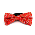 Red Paisley Shine Bow Tie
