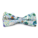 Sky Blue and Green Paisley Bow Tie
