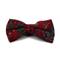 Burgundy Paisley Bow Tie