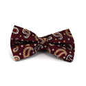 Burgundy Paisley Bow Tie