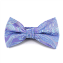 Lilac and Sky Blue Paisley Bow Tie