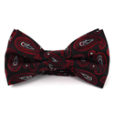 Black and Red Paisley Bow Tie