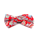 Red Paisley Bow Tie