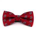 Red Paisley Bow Tie