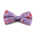Violet Paisley Bow Tie