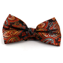 Orange XL Paisley Bow Tie