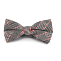 Red Prince of Wales Bow Tie