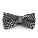 Pink Prince of Wales Bow Tie