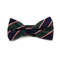 Midnight Blue and Green Striped Bow Tie