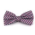 Bright Fuchsia and Lilac Striped Bow Tie