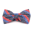 Grey, Red, and Blue Striped Bow Tie