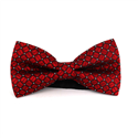 Red Checkered and Dotted Bow Tie
