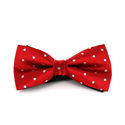 Red Bow Tie with White Polka Dots