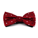 Red Bow Tie with Multicolor Polka Dots
