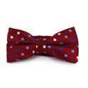 Red Bow Tie with Multicolor Polka Dots