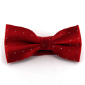 Dark Red Bow Tie with Shimmering Dots