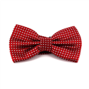 Red Bow Tie with White Dots