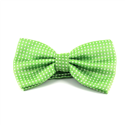 Green Bow Tie with White Dots