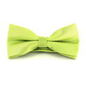 Green Bow Tie with Shimmering Dots
