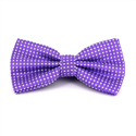 Violet Bow Tie with White Dots