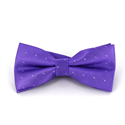 Violet Bow Tie with Shimmering Dots